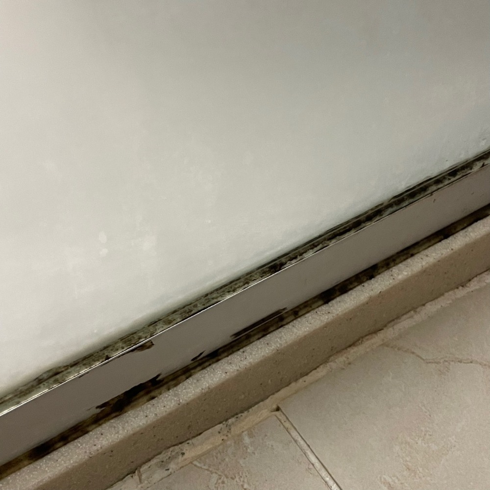 16309940159321.jpg